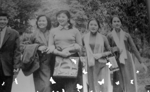 悲情阿诗玛杨丽坤