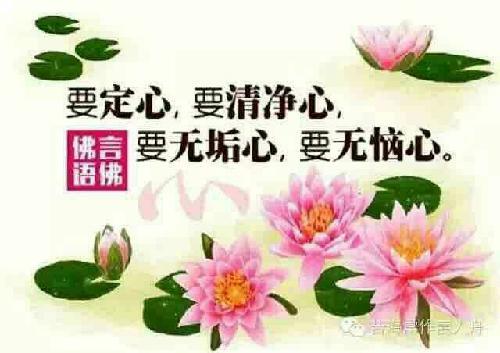 12月1日的早安语录