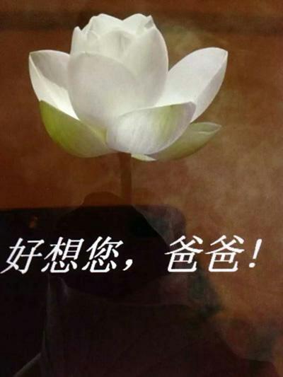 毕德林相册-周年哀思,怀恩网